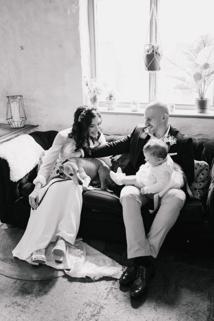 A bride and groom sit on a sofa with their dog and baby in their laps, smiling at each other in a cosy, sunlit room with plants and soft furnishings—capturing a heartwarming scene in timeless wedding photography style.